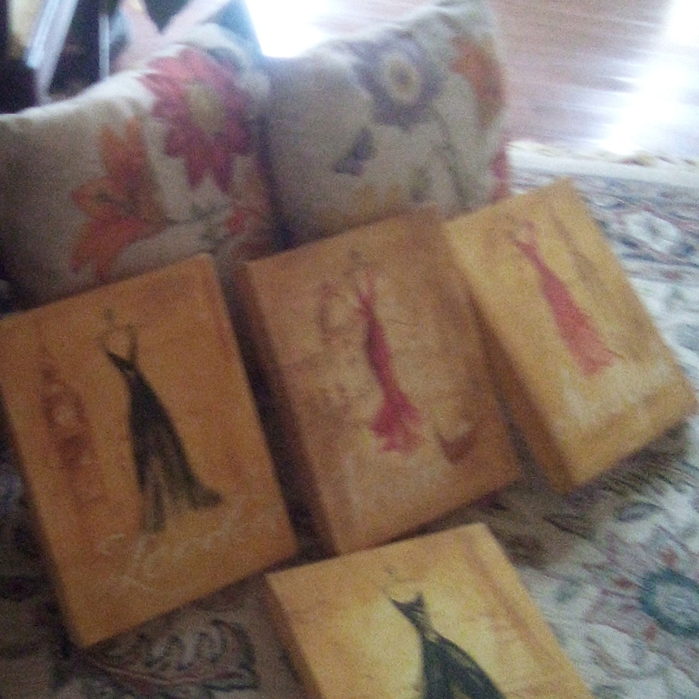 2 large throw pillows, 4 wall prints